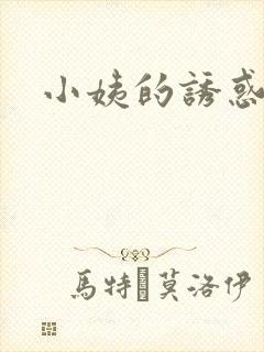 小姨的诱惑小说封面