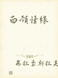 白领情缘封面