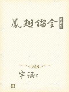 凤翅镏金镋封面