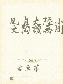 风月大陆小说全文阅读无删减封面