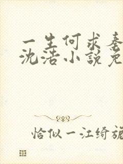 一生何求秦菲雪沈浩小说免费阅读全文