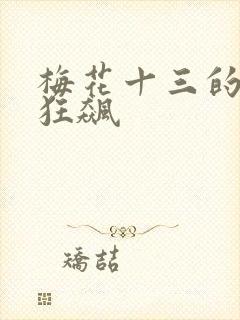 梅花十三的乳液狂飙