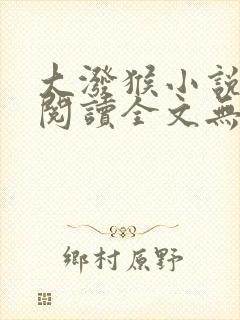 大泼猴小说免费阅读全文无删减