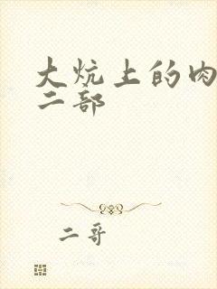 大炕上的肉伦第二部封面
