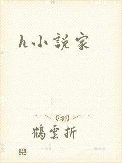 h小说家