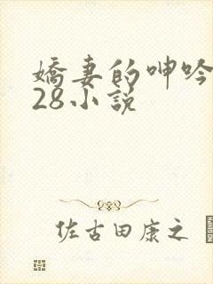 娇妻的呻吟1—28小说