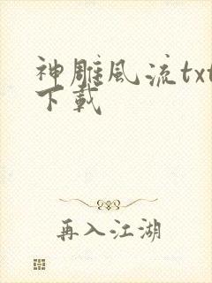神雕风流txt下载