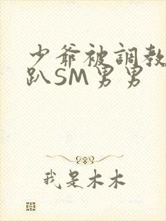 少爷被调教室跪趴SM男男封面