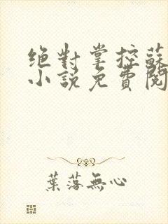 绝对掌控苏绵绵小说免费阅读全文