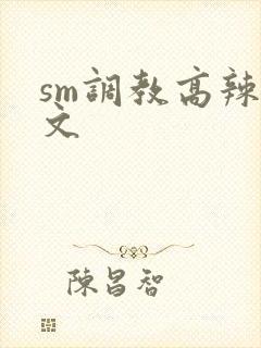 sm调教高辣h文