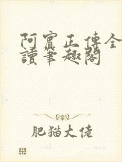 阿宾正传全文阅读笔趣阁封面