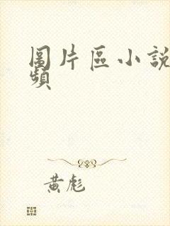 图片区小说区视频