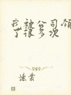 我被公司领导C了很多次