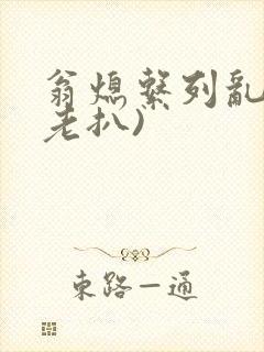 翁熄系列乱 (老扒)封面