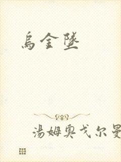乌金坠封面