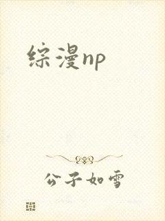 综漫np