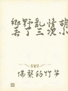 乡野乱情胡秀英丢了三次小说封面