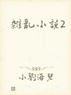 杂乱小说2