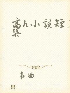 高h小说短篇合集