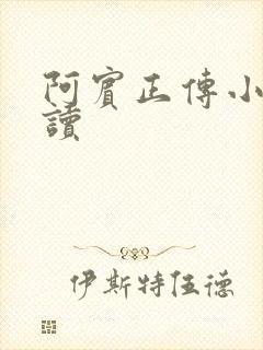 阿宾正传小说在读封面