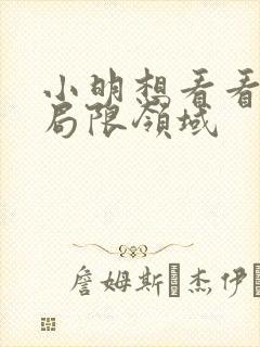 小明想看看永久局限领域封面