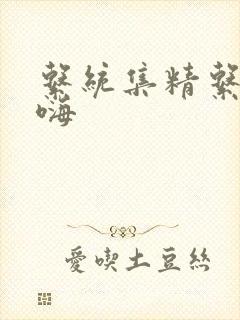 系统集精系统高嗨封面