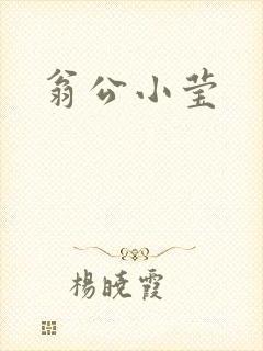 翁公小莹