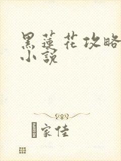 黑莲花攻略手册小说