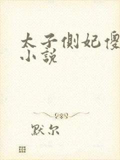 太子侧妃傻乎乎小说