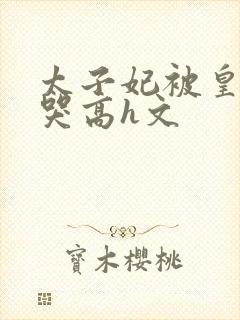 太子妃被皇上c哭高h文