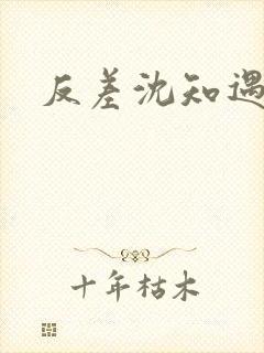 反差沈知遇晏应