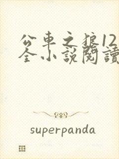 公车之狼12集全小说阅读