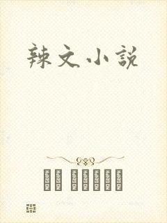 辣文小说
