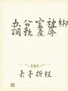 办公室被绑奶头调教羞辱