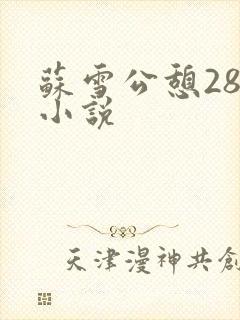 苏雪公憩28篇小说封面