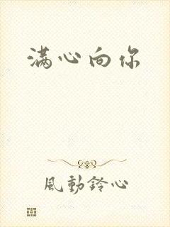 满心向你封面