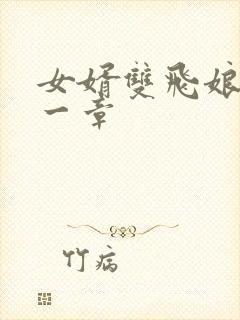 女婿双飞娘俩第一章