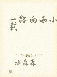 一路向西小说下载
