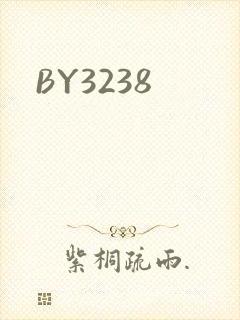 BY3238