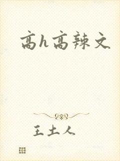 高h高辣文