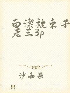白洁被东子老二老三3p