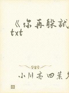 《你再躲试试》txt