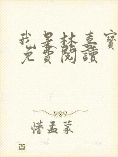 我是林喜宝小说免费阅读