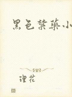 黑色禁药小说