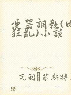 便器调教(肉体狂乱)小说