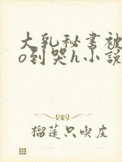 大乳秘书被cao到哭h小说