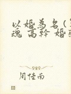 以婚为名 (军魂 高干 婚恋)