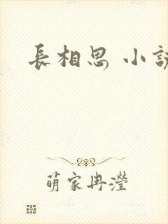 长相思 小说封面