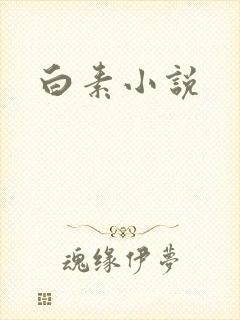 白素小说