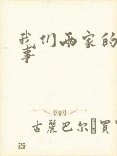 我们两家的荒唐事